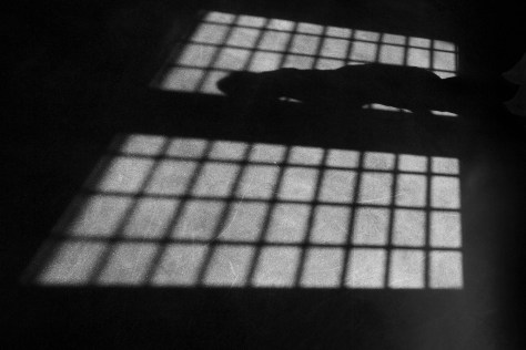 Photo by Jeff Sirkin