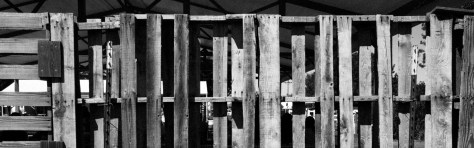 Photo by Jeff Sirkin