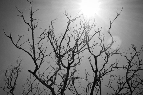 Photo by Jeff Sirkin