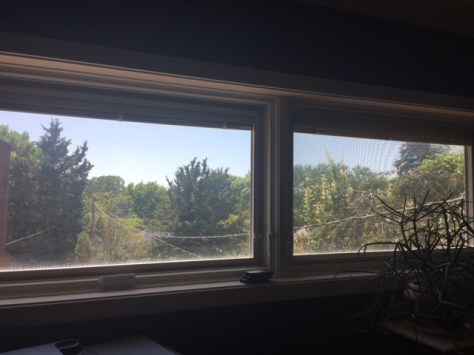 Todd Robinson Window View