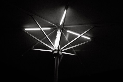 Photo by Jeff Sirkin