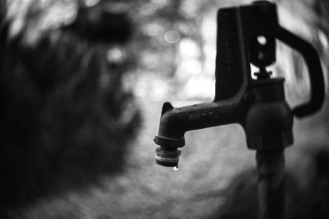 Photo by Jeff Sirkin