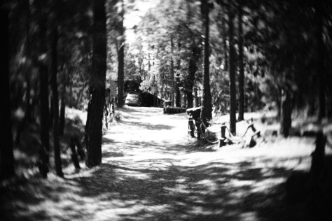 Photo by Jeff Sirkin