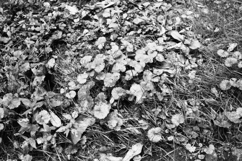 Photo by Jeff Sirkin